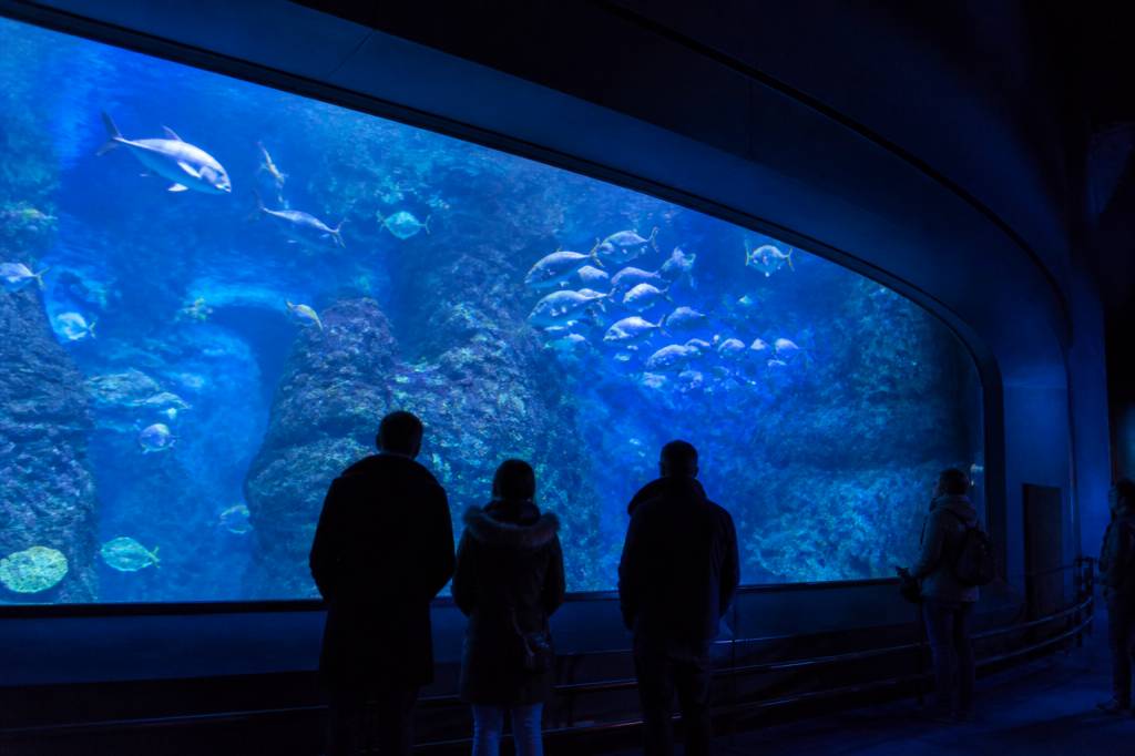 Aquarium de paris adresse : accès, horaires et informations utiles pour organiser la visite